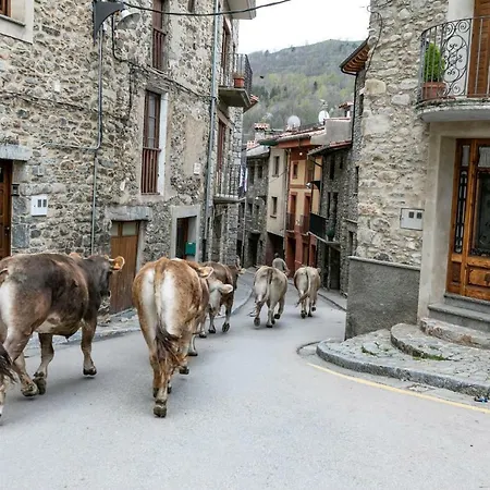 Sports House Nord Sud (adults Only) Bed & Breakfast Vilallonga de Ter